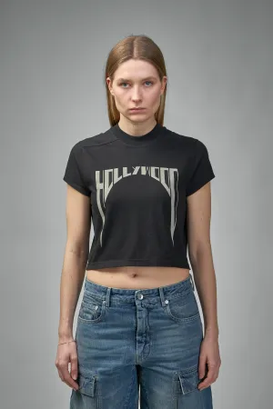 Cropped Small Level T