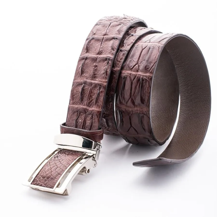 Dark Brown Backbone Crocodile Leather Belt