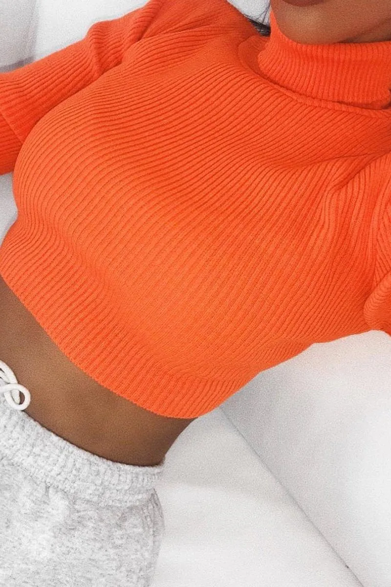 Orange Rib Roll Neck Crop Jumper - Hayvin