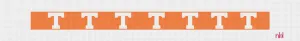 Tennessee Power T Belt Canvas